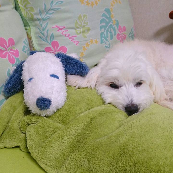 B0aadf4c 611a 4776 af7b 78c9319af40b