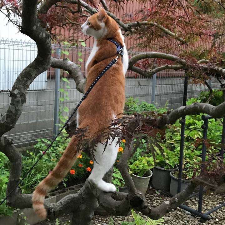 B0ab3f48 5b96 490d bd9e 103e6ba00be2