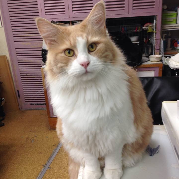 B0ab8647 a719 4496 a525 3e3dbe4b71d9