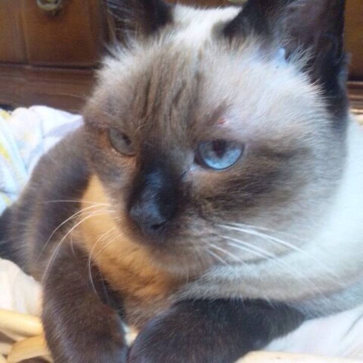 B0abbd03 fa03 4c11 a5b3 0bf0426b2c96