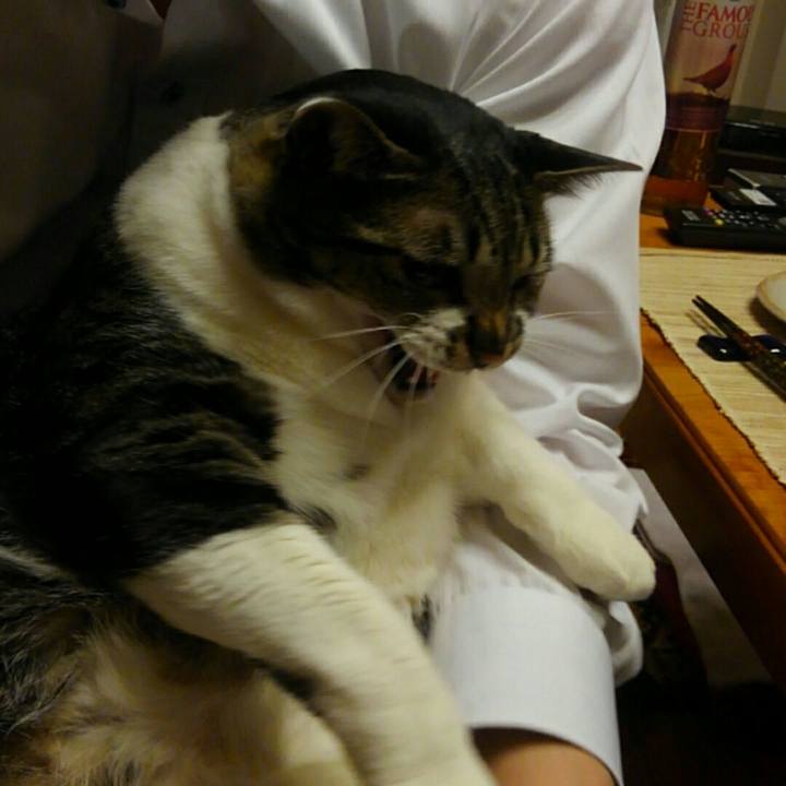 B0abedbd 0345 42a1 b7c6 96811ab73409