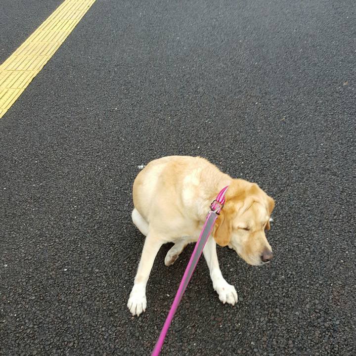 B0ac30e0 111c 494d b9d5 5659abb421ab