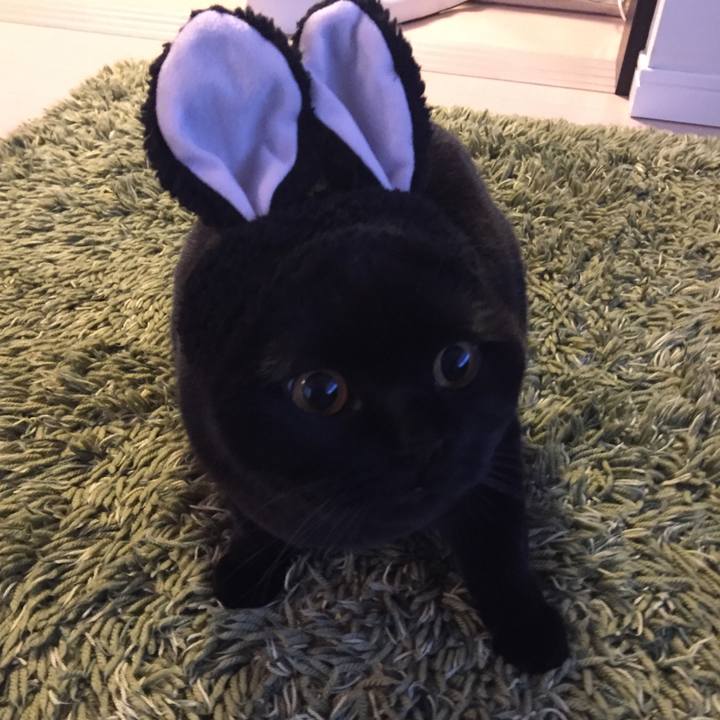 B0acebf8 e969 4466 b980 790941622511