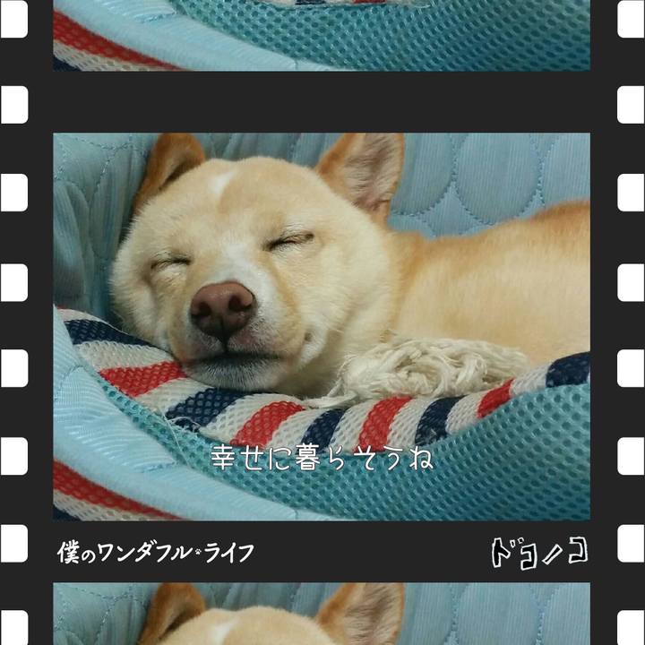 B0ad679d 1614 4cdf bcae 355dccee627b