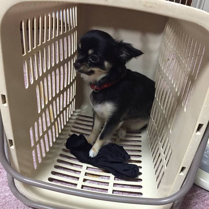 B0ad6fa8 9307 417e 88b2 8fda2c766c80