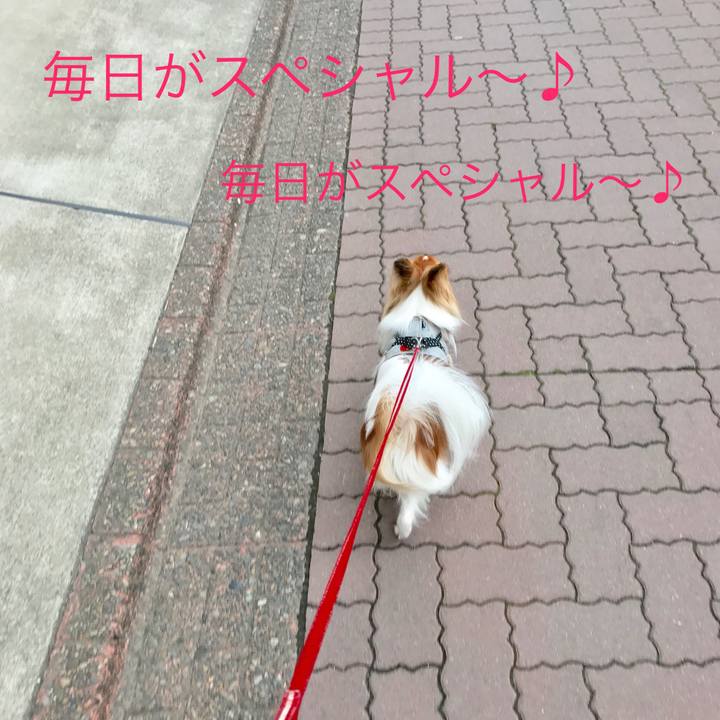 B0adc308 b4de 487a 9b36 5a3c73812308