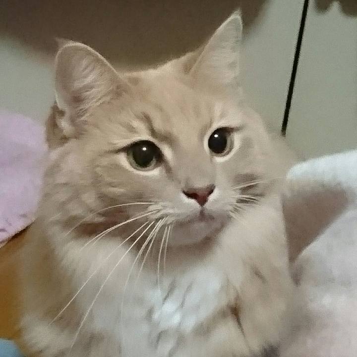 B0ae3625 4dbd 4b8d a66a 66fd8fa0c637