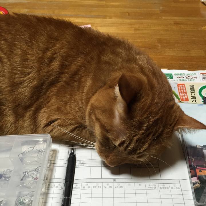 B0aea72b cd24 4f16 8a07 40b50ca635d2