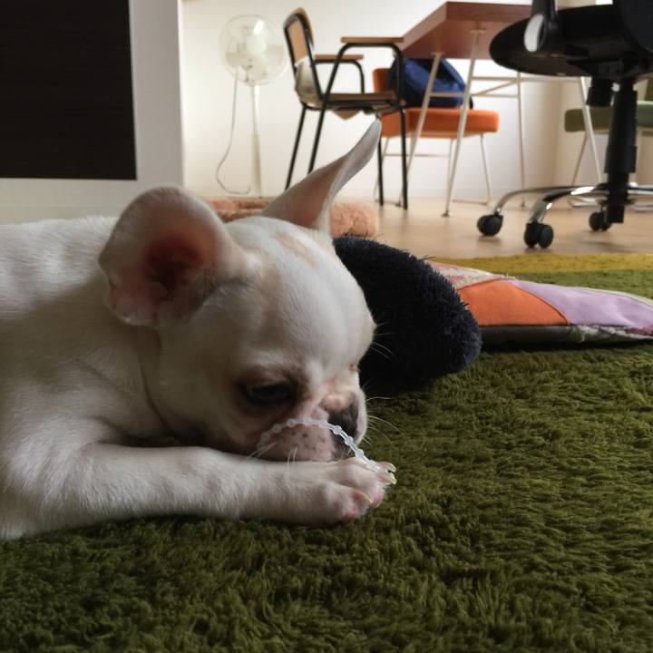 B0aeeb68 ae62 4147 8550 1ac8e72071fe