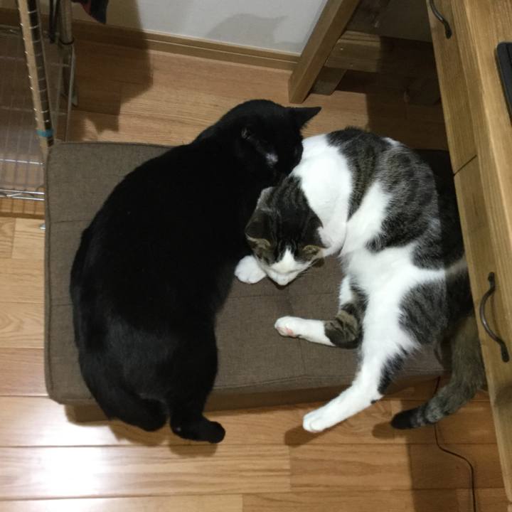 B0aef4b5 ddab 491c add5 dde6cd743a41