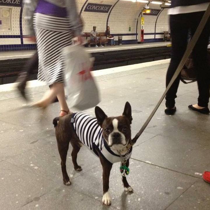 B0af4ef7 1efd 46a3 926a b2b79556d253