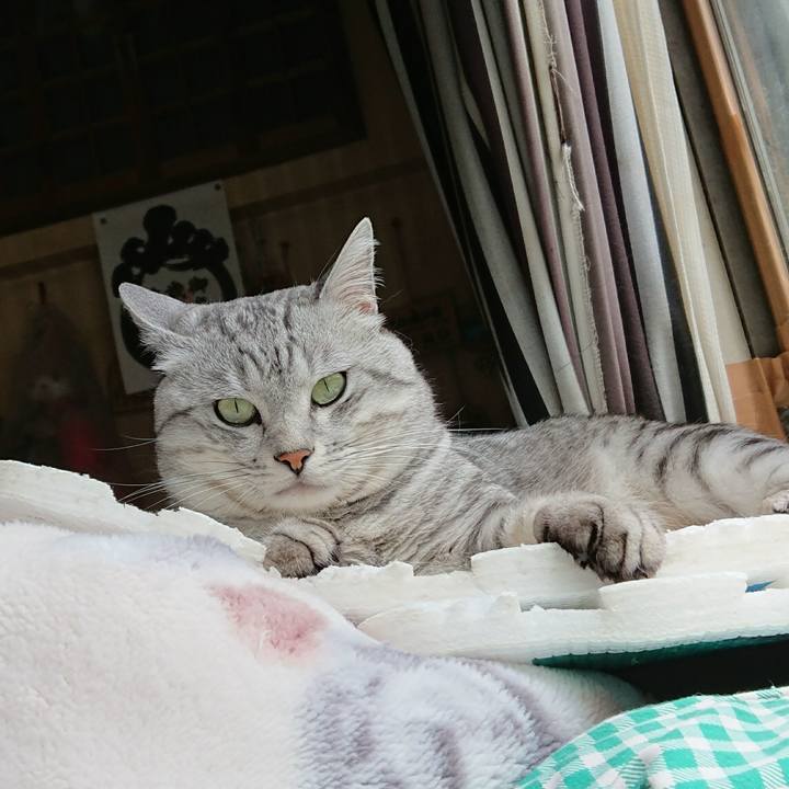 B0af9c8a 0bae 4d1f b3d2 f849fcbd34be