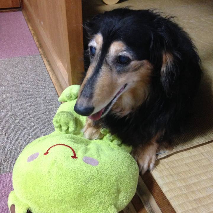 B0afc3d4 3a9d 48ad 8699 3526deb295e7