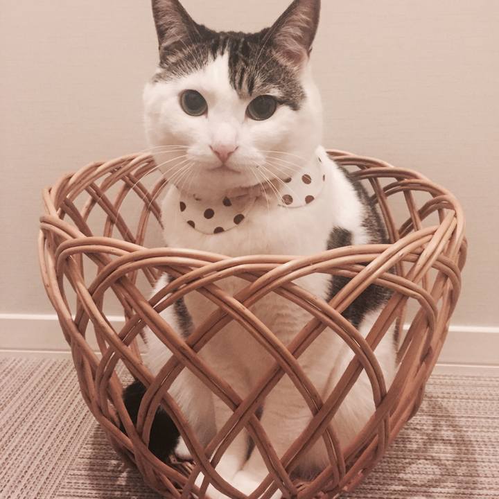 B0b0312c 6b3a 4769 ba93 90dc57aba964