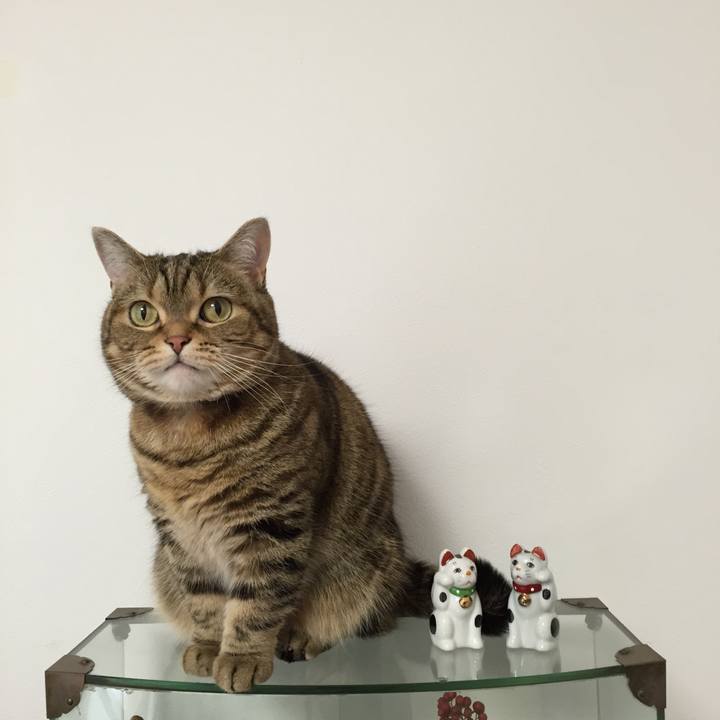 B0b09f82 1510 41a8 9875 3b4ac14702d3