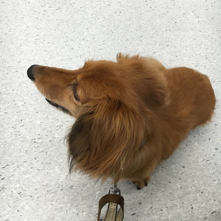 B0b0b817 6682 4676 a34f ba156d6d496d