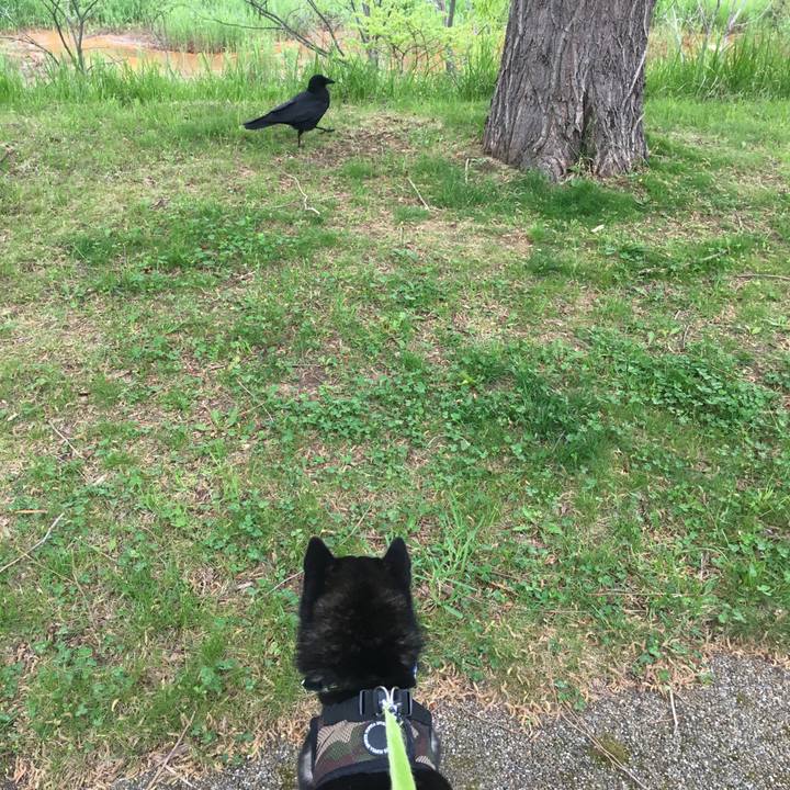 B0b17cee 07fc 4012 9a09 6398bd64ac81