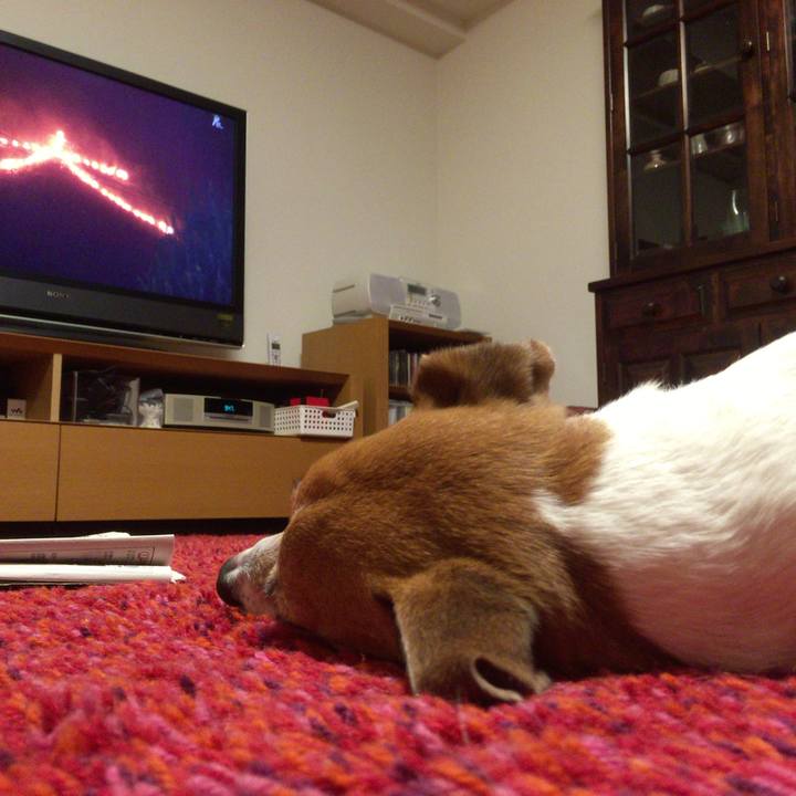 B0b1c3dd 09c3 41df 97fc 1f7933fa05cb