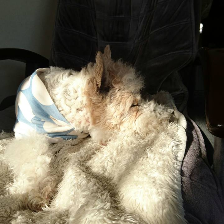 B0b20516 6636 4680 8139 115209f6bbfa