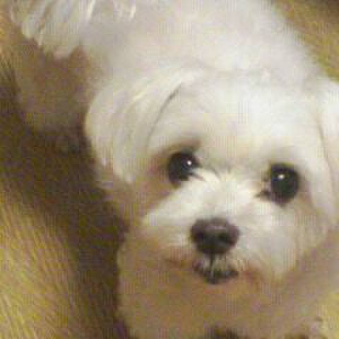 B0b208b6 ea88 4cbb 9d26 8f351be3acab