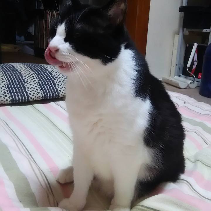 B0b21880 cfd7 42cc a4e3 f23903159f8e