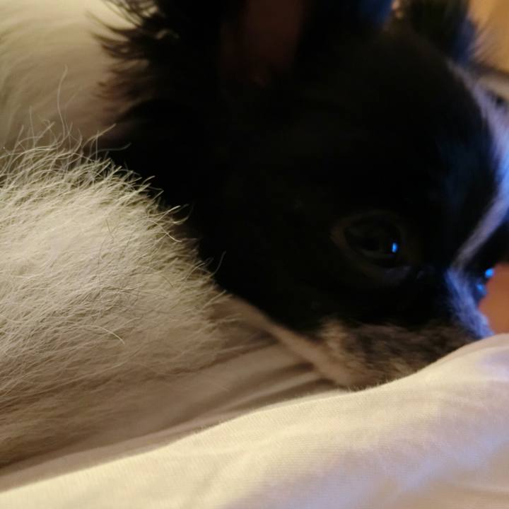 B0b23a66 bae4 4505 82ef af9d34f22f04