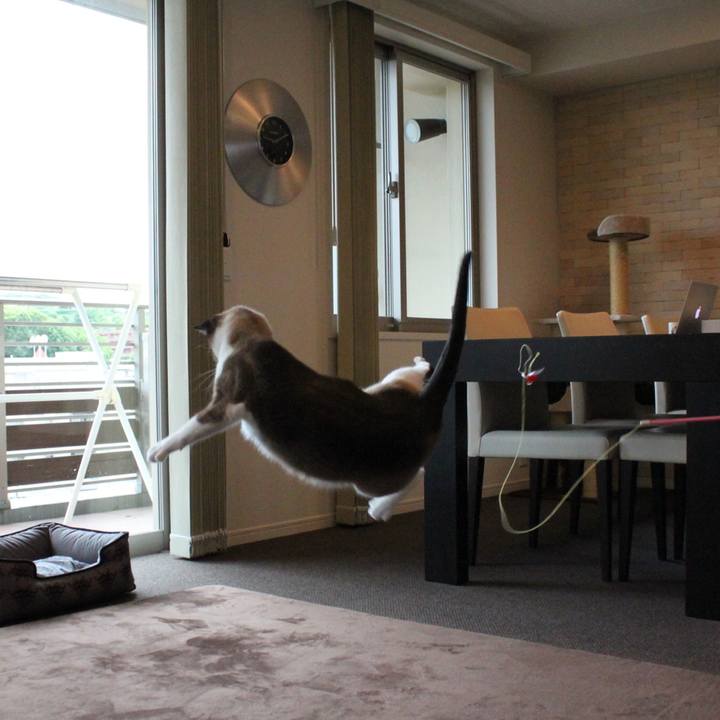 B0b24dcb fa5a 4144 9acb 0887f176b173