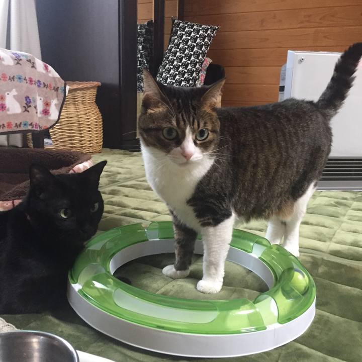 B0b35667 ac15 4941 bf37 14b9e7c3c271