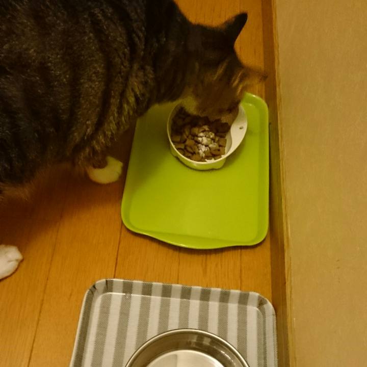 B0b36d21 8302 4ce7 a0e4 6605883c4338