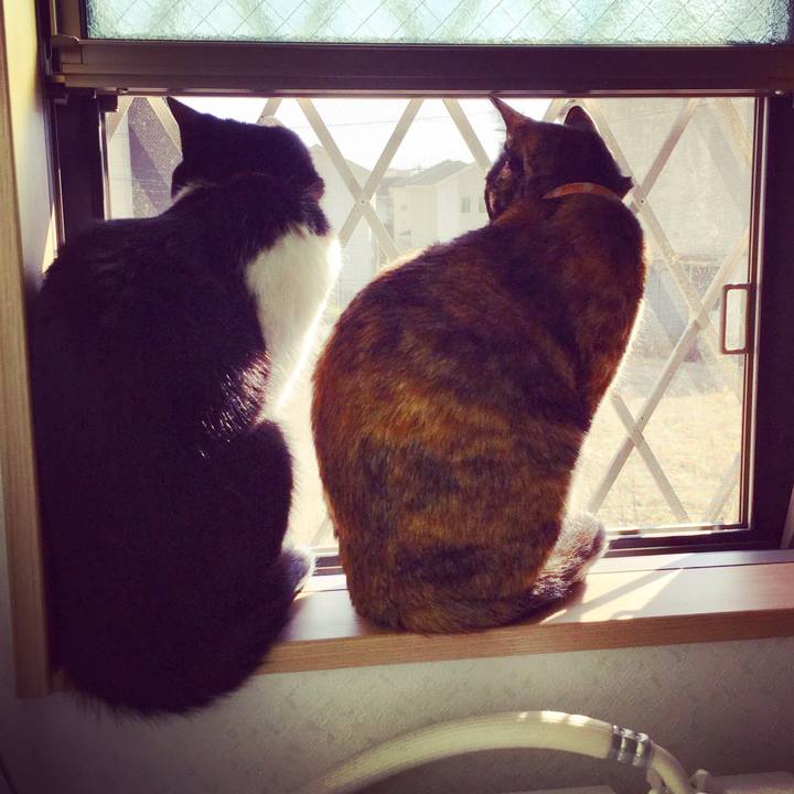 B0b37473 a7fe 4deb 96de 371018bfc410