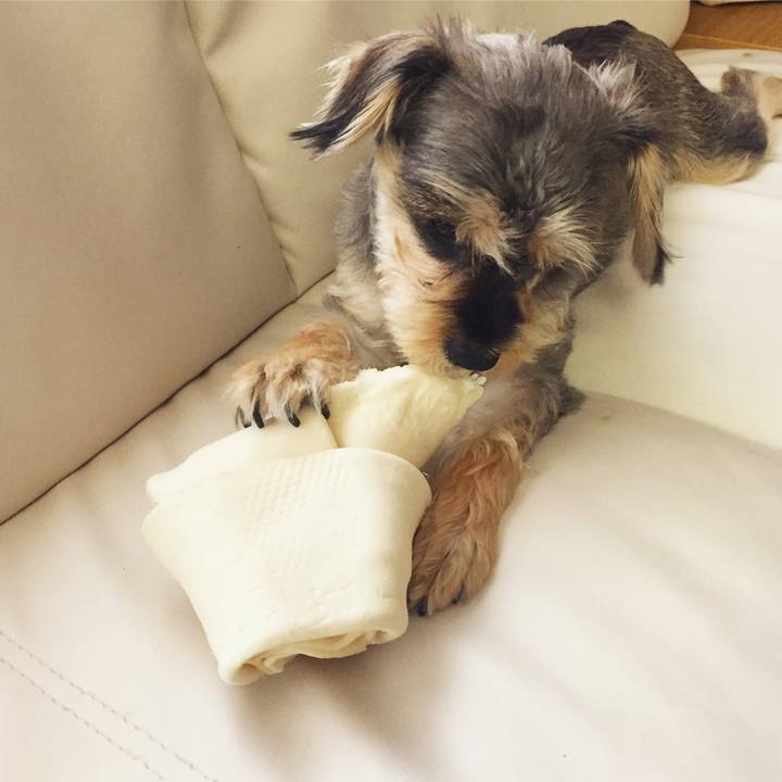 B0b3eb6d 5ed1 48e9 92ff 3a0cb2c61061