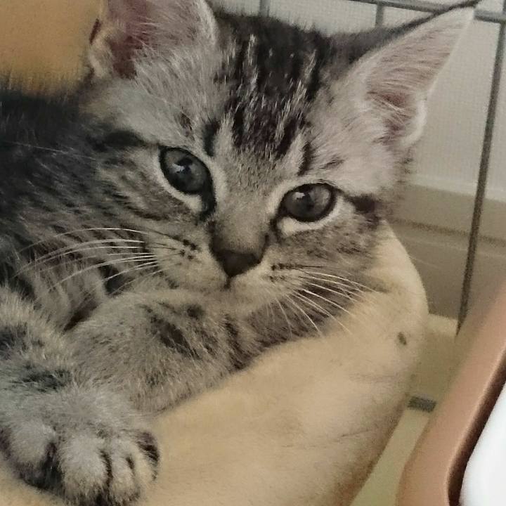 B0b45aea de38 44ee ad95 b7f409ac376c