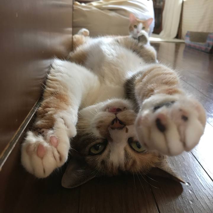 B0b48d72 a96d 4327 a869 404c6f5a16b9