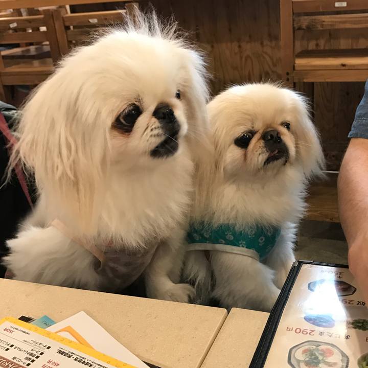 B0b52c88 31c8 4092 b036 f206e1fc8580