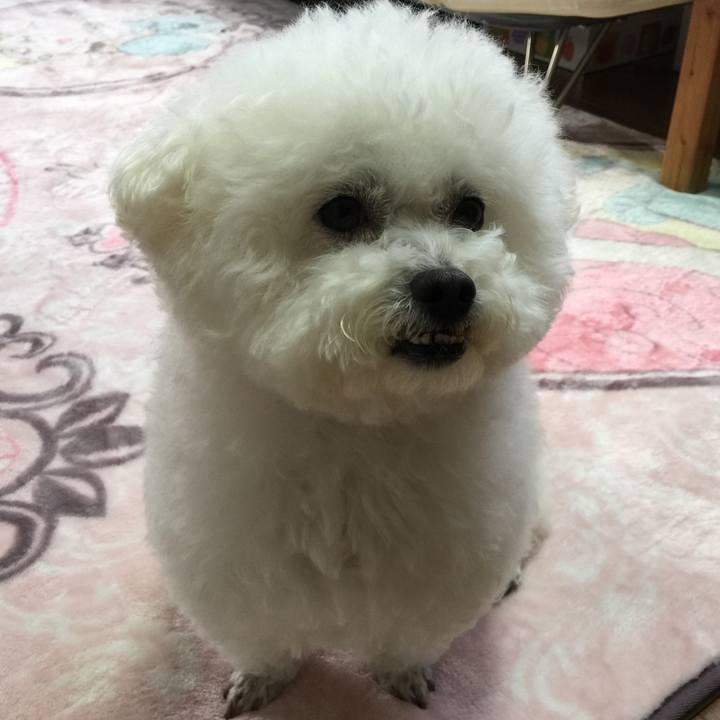 B0b55ad5 ec59 40f2 ad11 4a4a65da9fd3