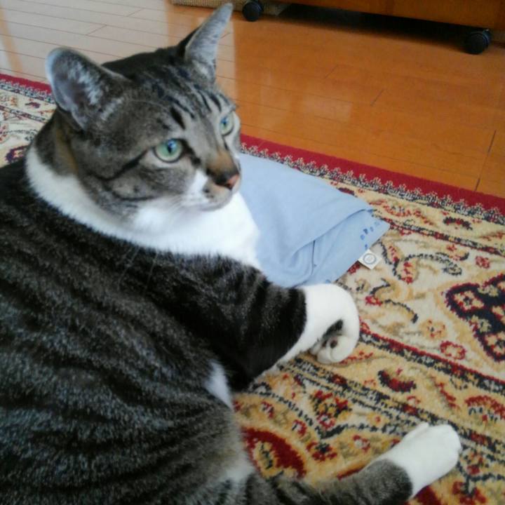 B0b66545 ef3e 4f34 80e9 2633d513bf63