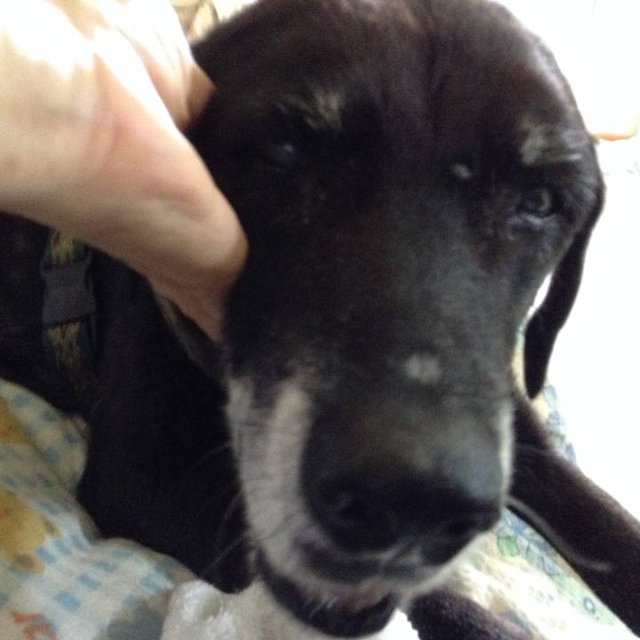 B0b6b8cc 09e7 4ec6 8af5 01833c5c5c72