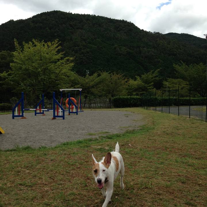 B0b6e349 01dd 4a45 82e7 27b71b8cefe2