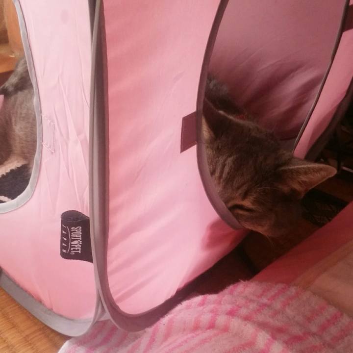 B0b7db3b d3af 41c4 ab3c 60adce4f5632