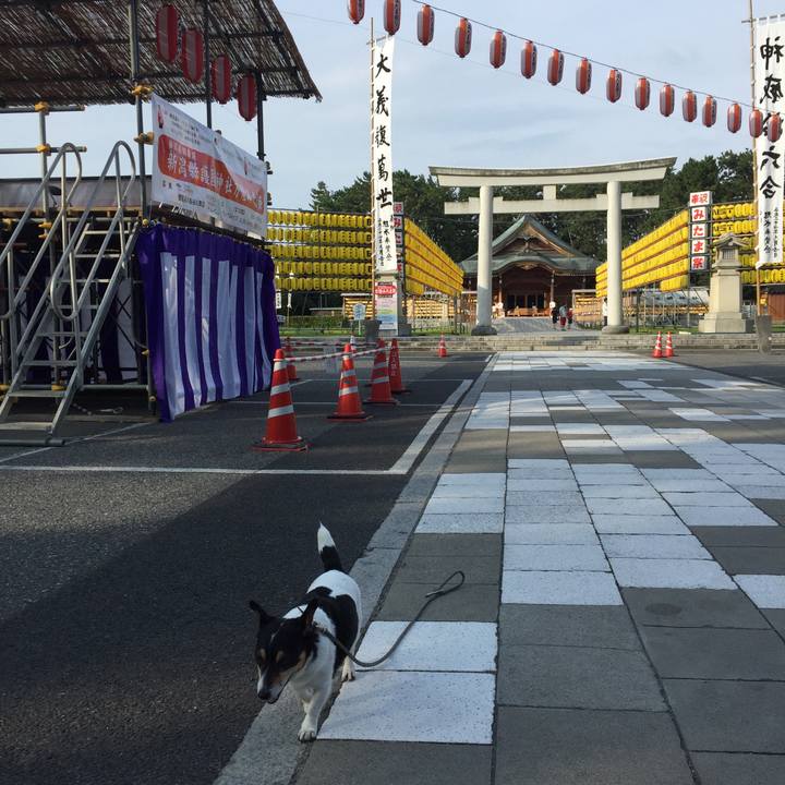 B0b7ebee e4c8 487e aa9c 5e355bc9dec2