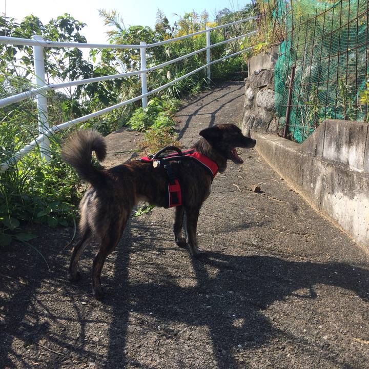 B0b8392a 7e48 4946 b045 7843e40f27e2