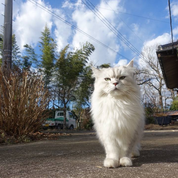 B0b844af 3523 4b88 a02a b36e18ada0ca