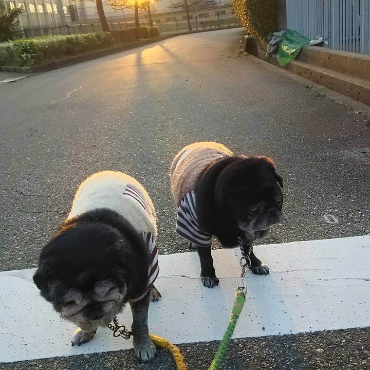 B0b86879 0944 440d 895e 604077bbc5d0