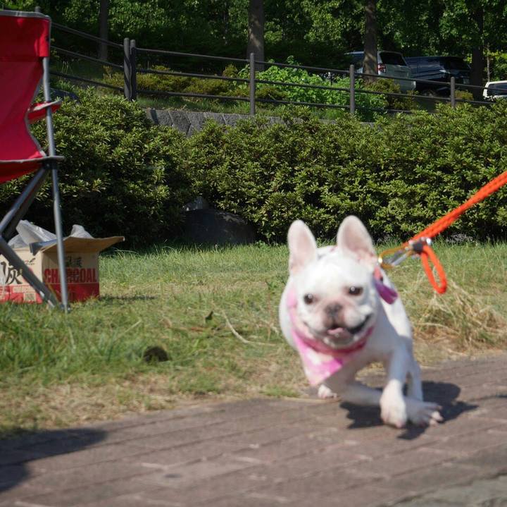 B0b8d206 ab71 402d 9366 14e1c80f7a12