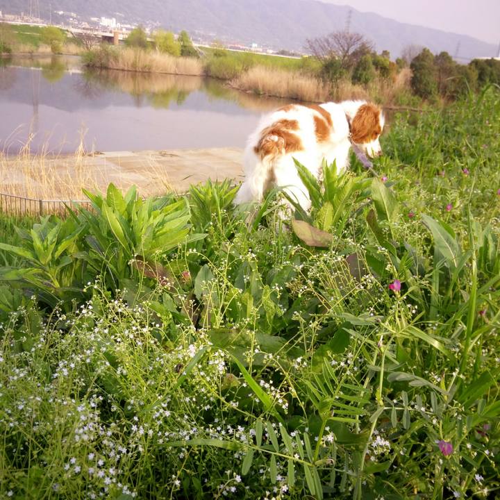 B0b8e859 79fd 43b9 95c0 c7492ba1371b