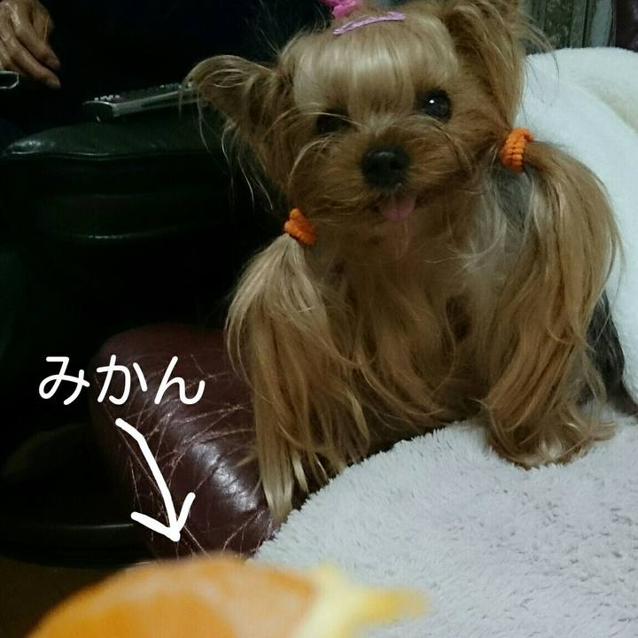 B0b927fa e206 4ab6 8781 5f7d3afbaf30