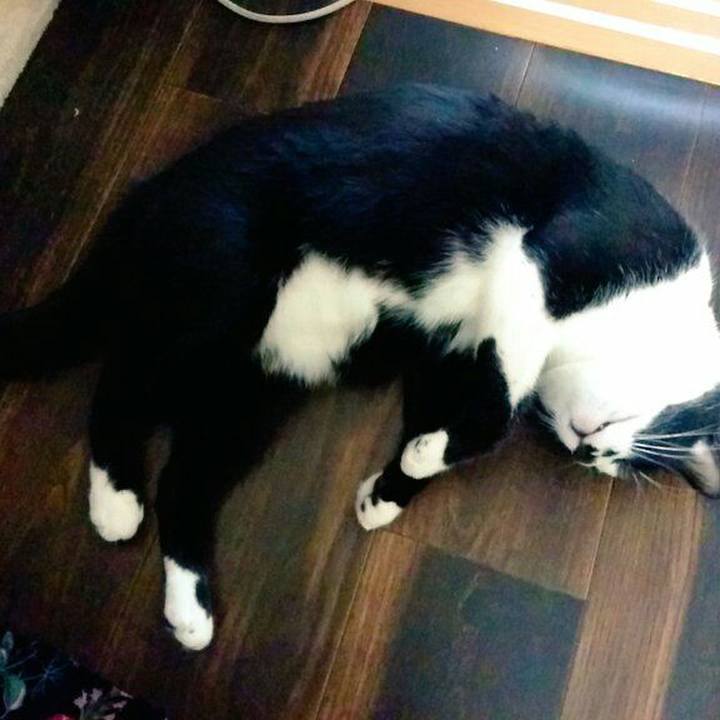 B0b98207 02e3 48d7 a057 9c5977420083