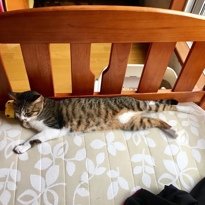 B0b9f269 2e7b 431f 973b fe1b41796687