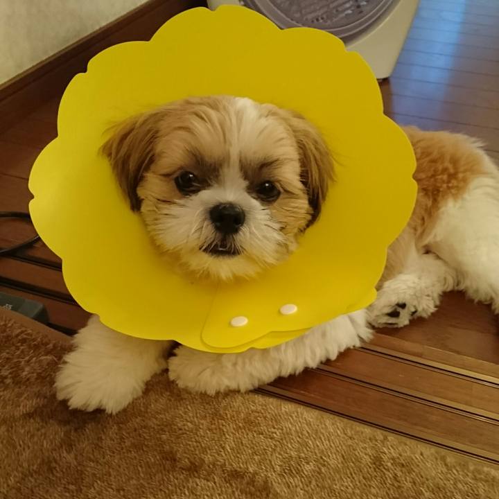 B0baacb6 7517 4af2 aa94 a6fc20e1e3d4