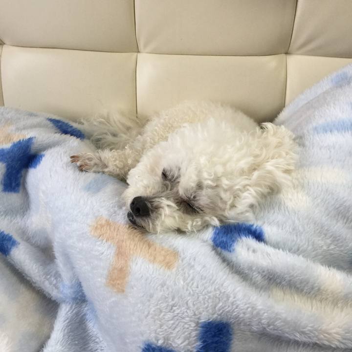 B0bb5071 4a8a 4d57 93e3 a9324662b5ac